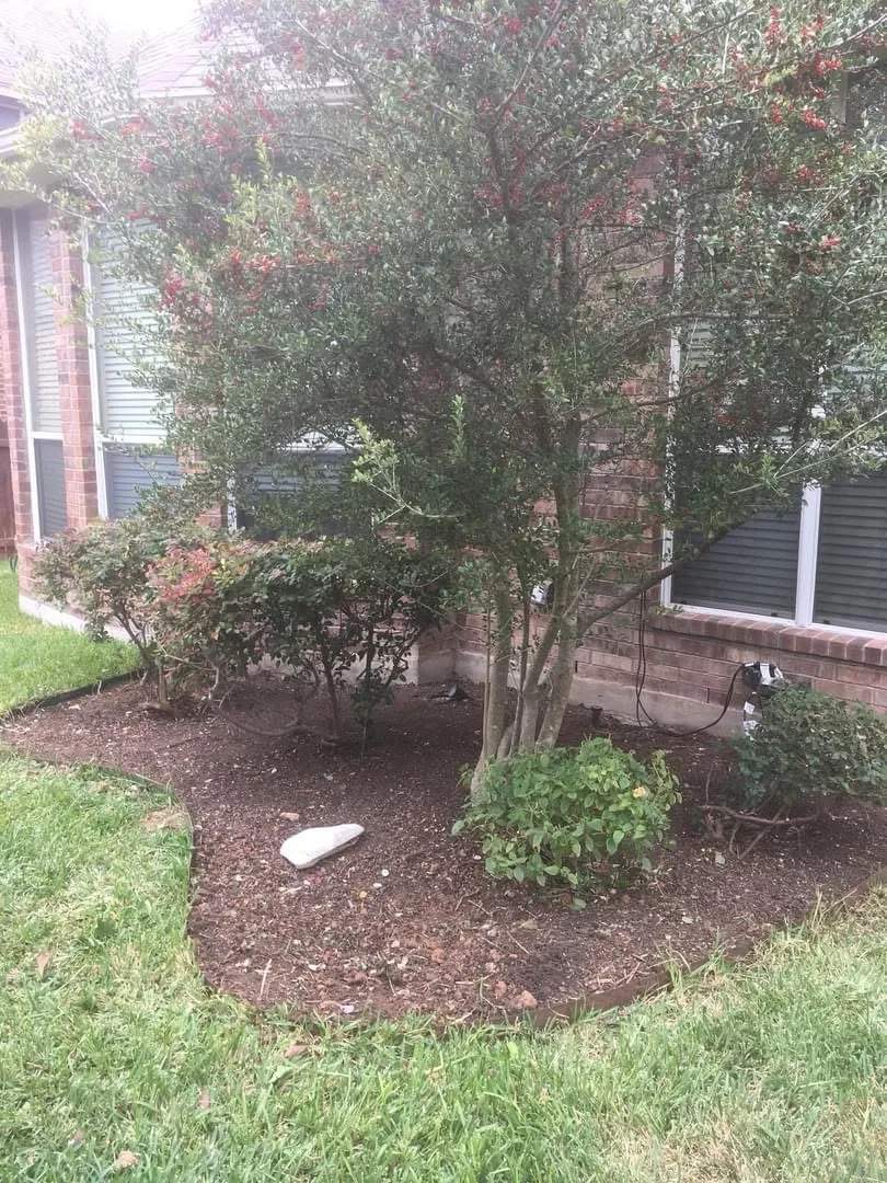 project by S&E Turf Pros LLC in Austin, TX — after