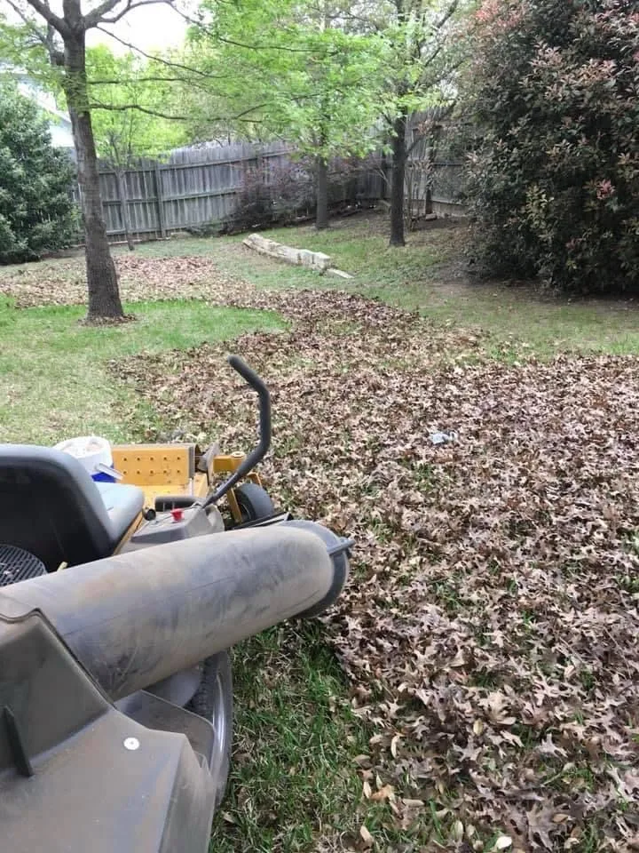 project by S&E Turf Pros LLC in Austin, TX — before