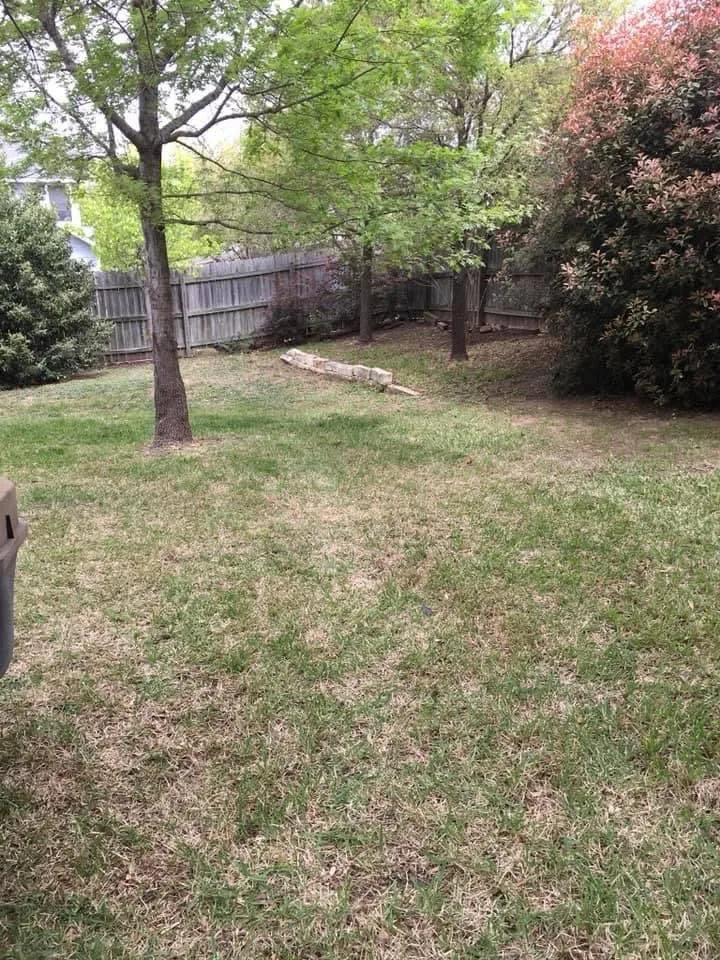 project by S&E Turf Pros LLC in Austin, TX — after