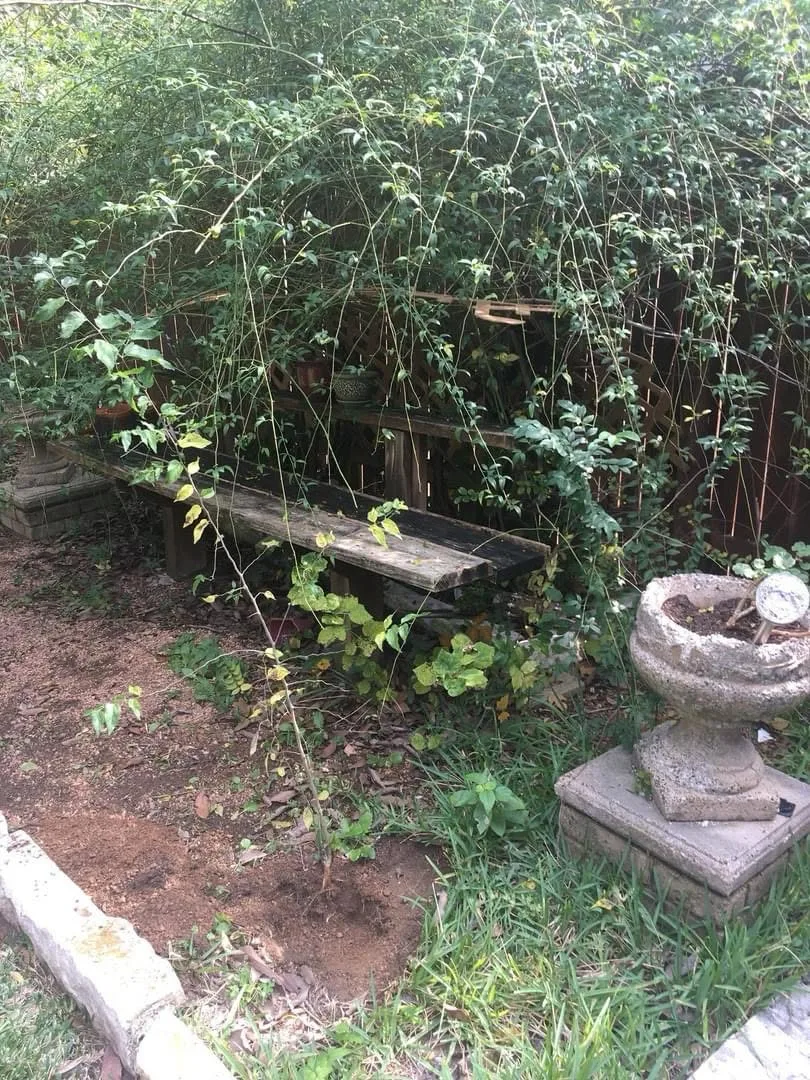 project by S&E Turf Pros LLC in Austin, TX — before