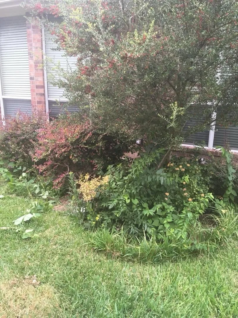 project by S&E Turf Pros LLC in Austin, TX — before